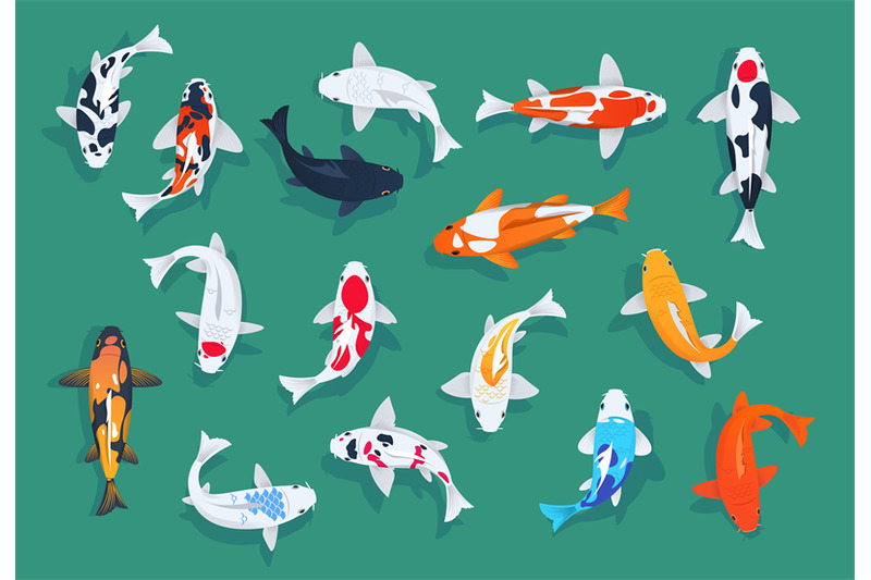 koi-fishes-japanese-colorful-carp-asian-goldfishes-vector-set