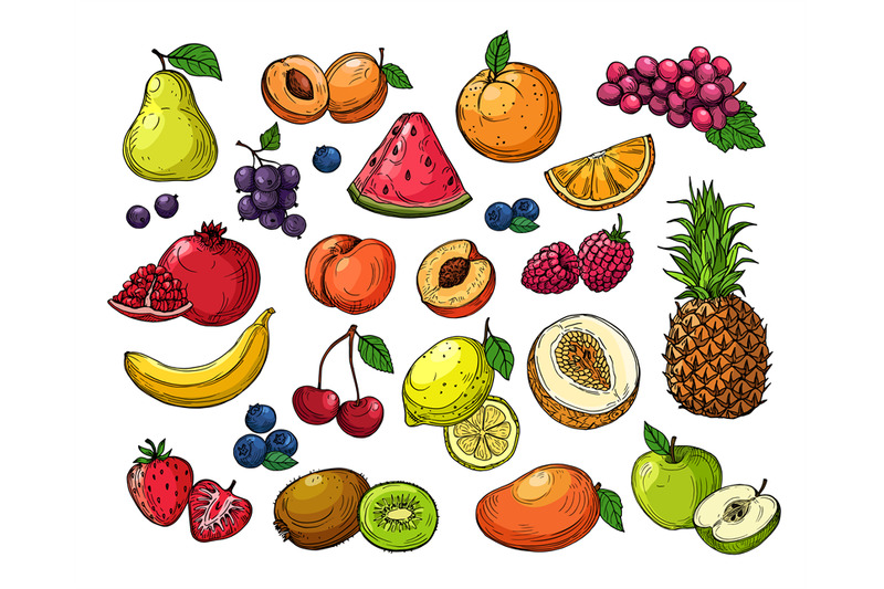 cartoon-berries-and-fruits-pineapple-grapes-pear-apple-orange-mango