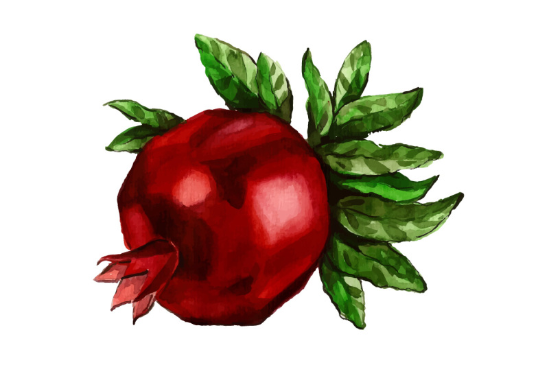 watercolor-autumn-pomegranate-vector