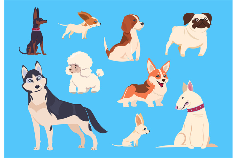 cartoon-dogs-breeds-corgi-and-husky-poodle-and-beagle-pug-and-chihu