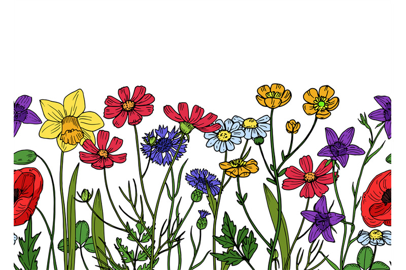 wild-flowers-seamless-border-field-of-meadow-herb-floral-vintage-spri