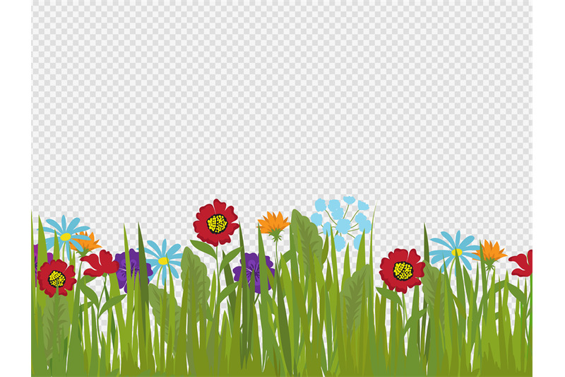 spring-flowers-and-grass-border-isolated-on-transparent-background