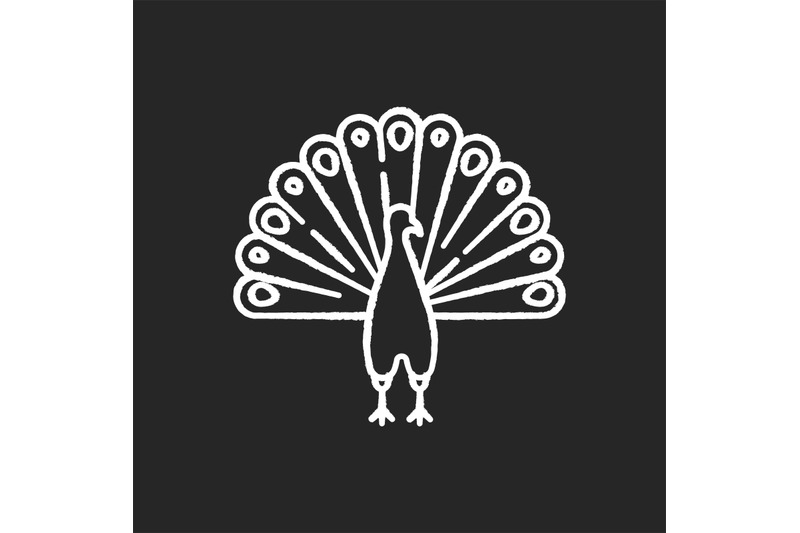 peacock-chalk-white-icon-on-black-background