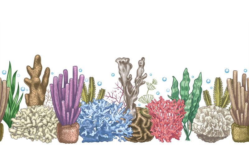 seaweed-seamless-border-sea-reef-weeds-and-corals-underwater-ocean-a