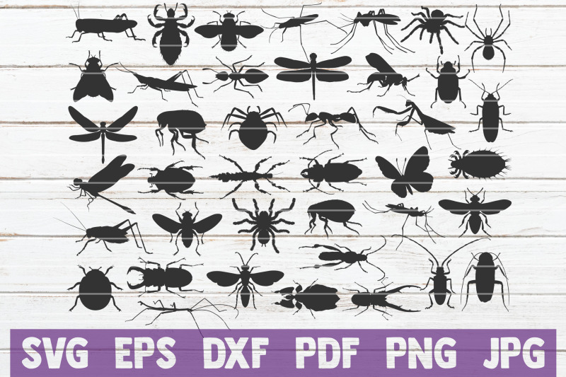 insects-silhouettes-svg-bundle