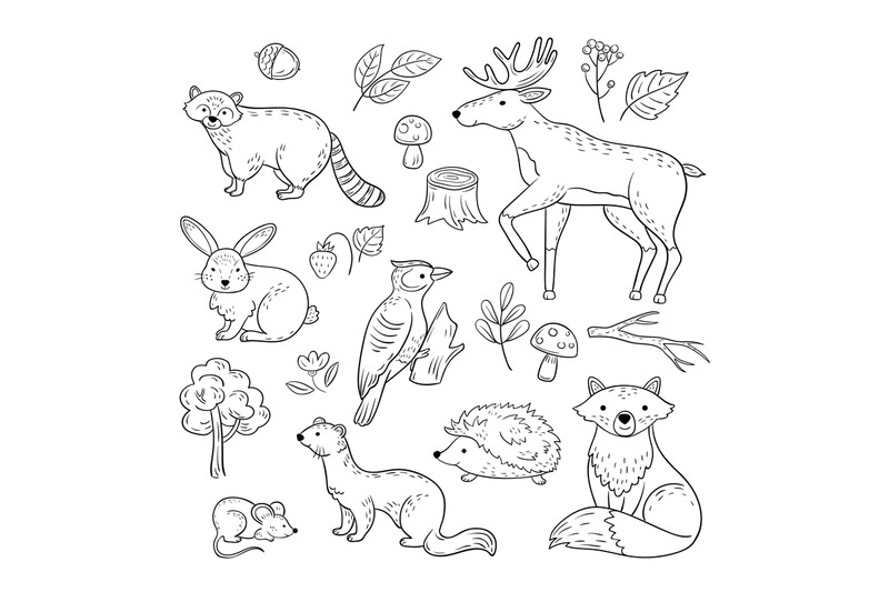 sketch-forest-animals-woodland-cute-baby-animal-raccoon-elk-hare-wood