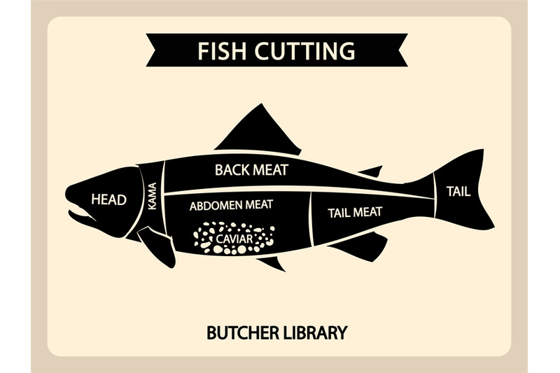 fish-meat-cutting-vector-vintage-chart-cuts-guide-diagram