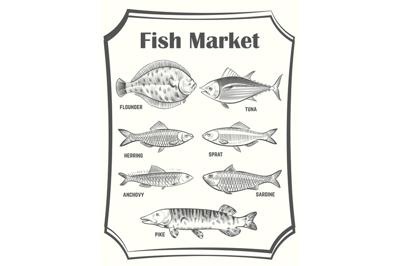 hand-sketched-different-fish-vector-poster-template-fish-market-banne