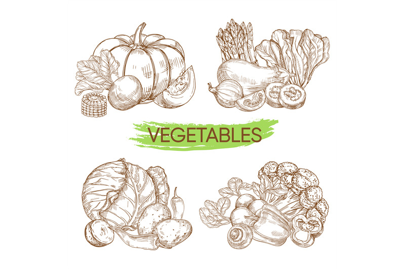 hand-sketched-vector-vegetables-isolated-on-white-background