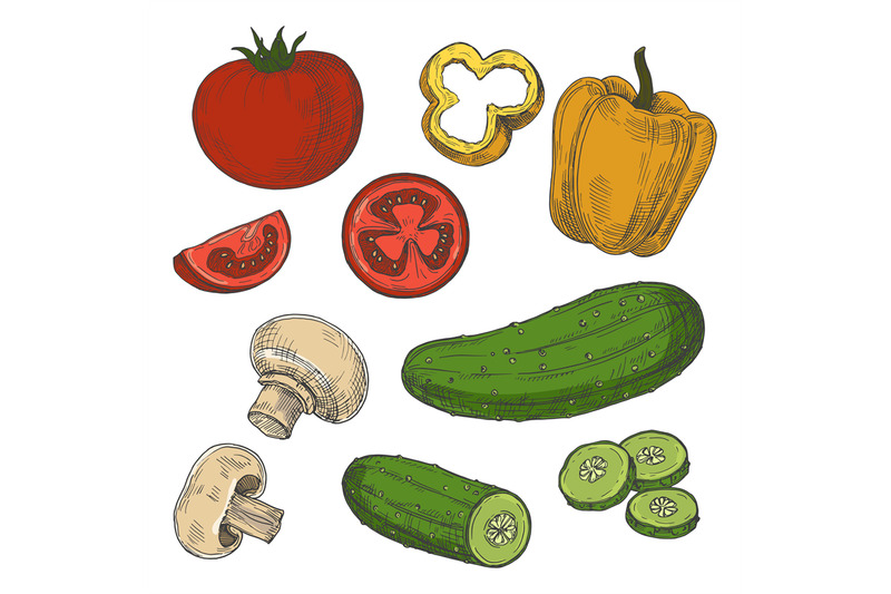 sketched-tomatoes-cucumbers-mushrooms-and-sweet-pepper-vector-isolat