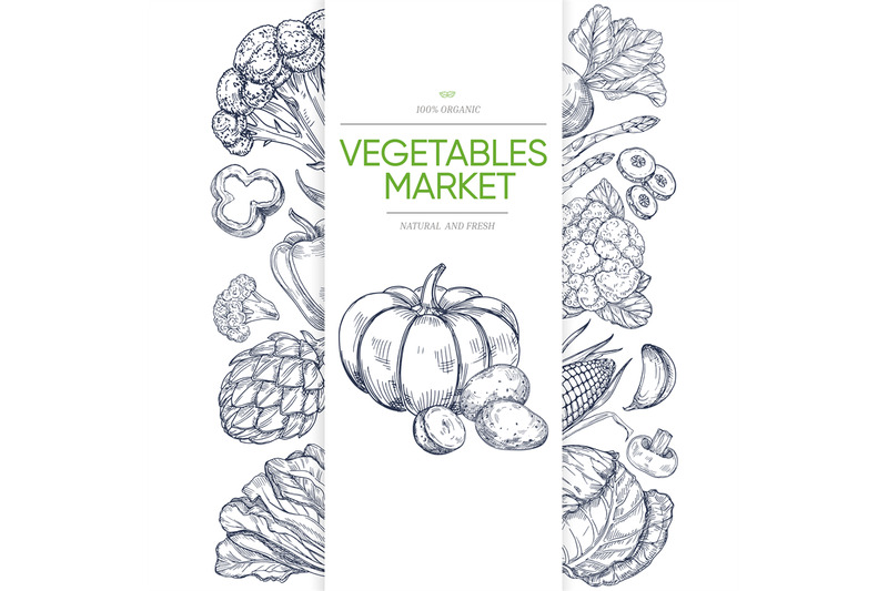 vegetable-markets-banner-template-with-hand-drawn-green