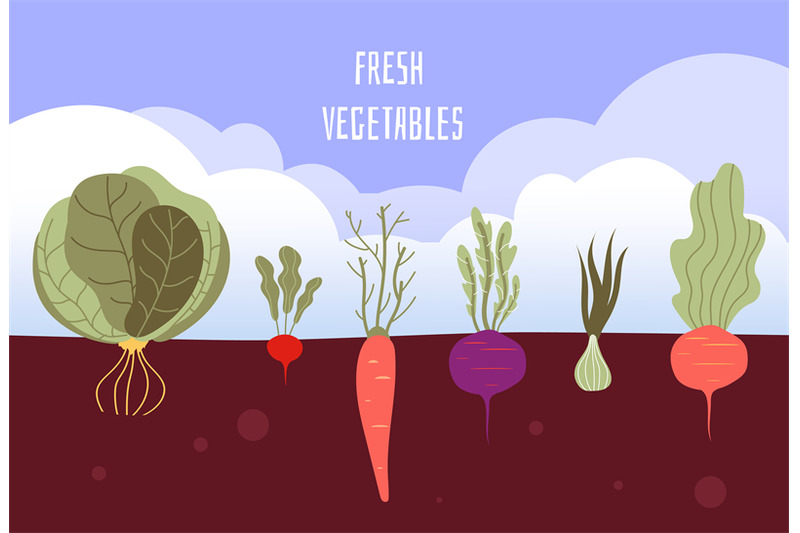 vegetable-garden-organic-and-healthy-food-veggies-gardening-summer-ve