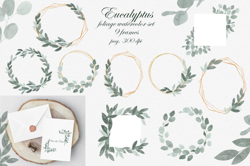 eucalyptus-foliage-watercolor-clipart-set