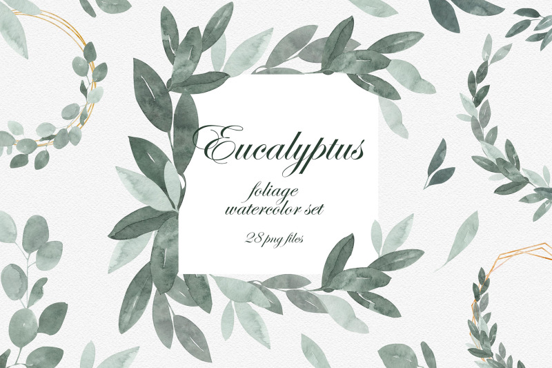 eucalyptus-foliage-watercolor-clipart-set