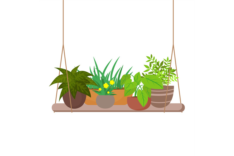 indoor-home-plants-on-the-hanging-shelf-vector-illustration