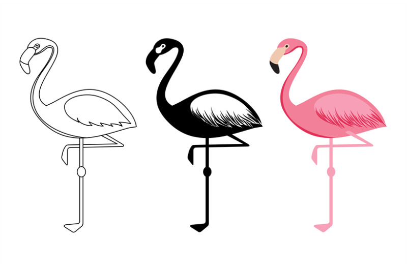 outline-and-silhouettes-flamingo-vector-isolated-on-white-background