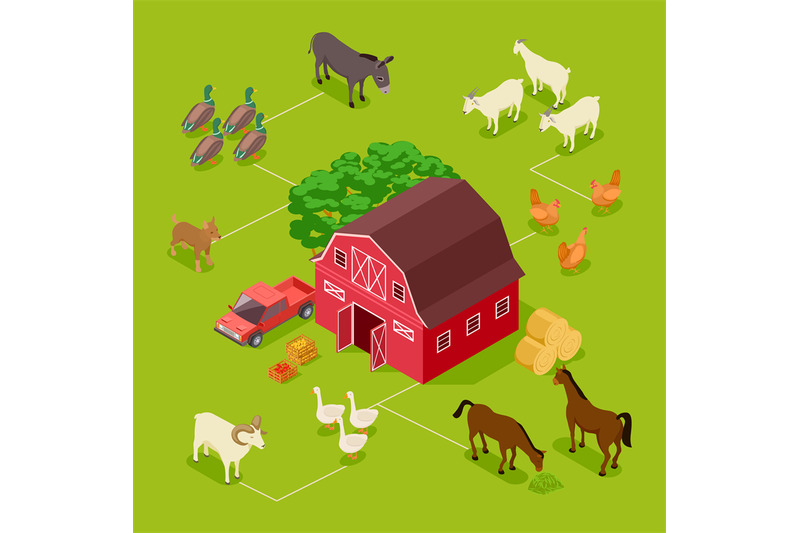 isometric-farm-vector-concept-livestock-farm-birds-barn-3d-illustra