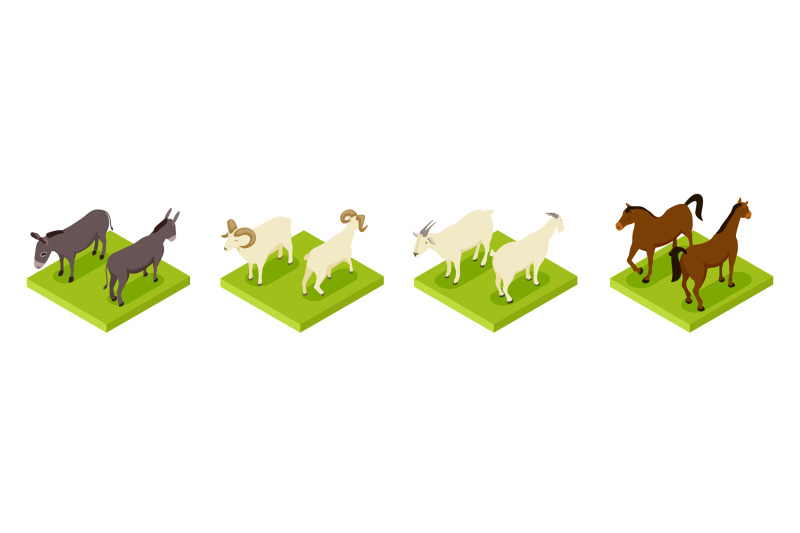 isometric-hoofed-cattle-dunkey-horse-ram-and-goat-3d-vector-collect