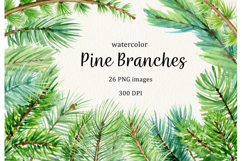 watercolor-pine-branches-forest-clipart-winter-woodland-clip-art