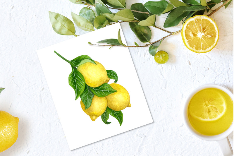 lemons-watercolor-clip-art
