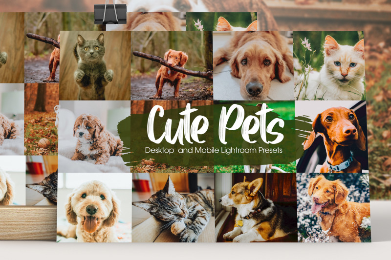cute-pets-lightroom-presets