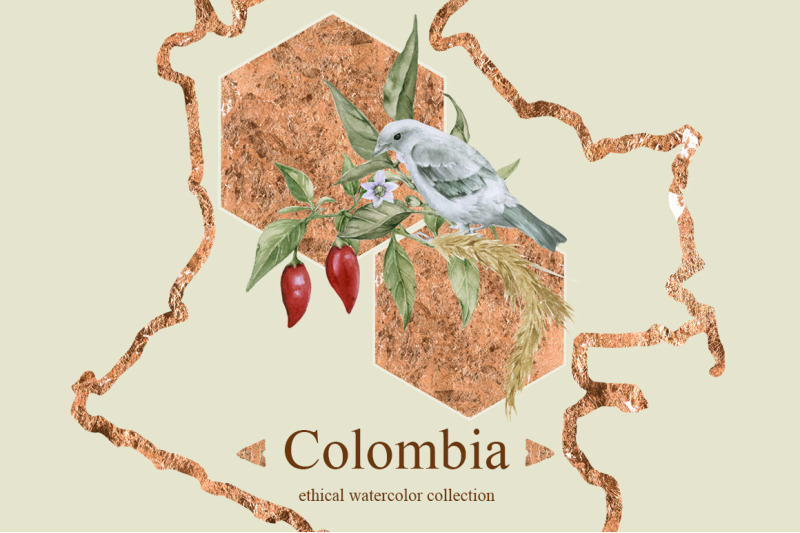 colombia-watercolor-collection