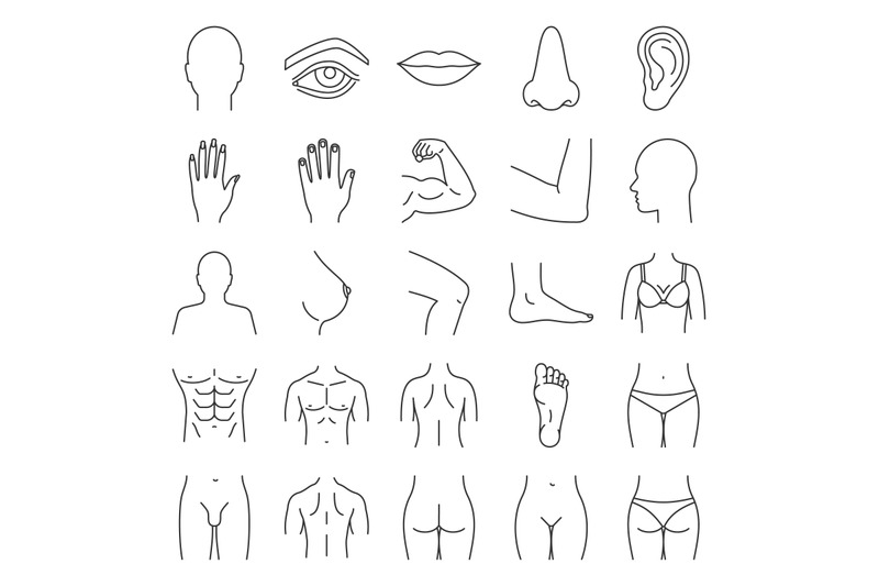 human-body-parts-linear-icons-set