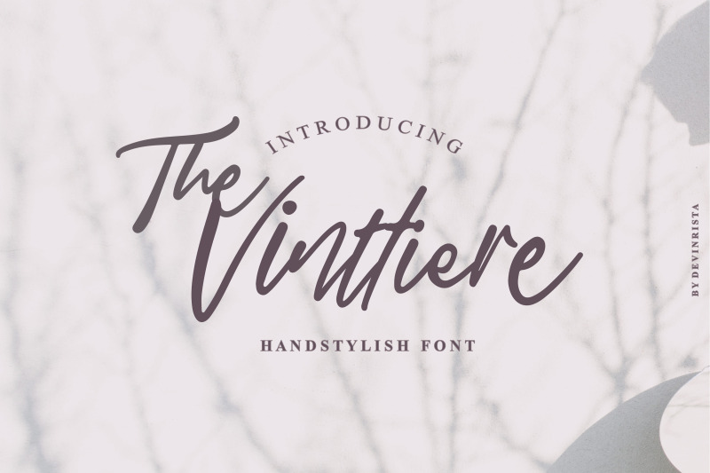 the-vinttiere-handstylish-font