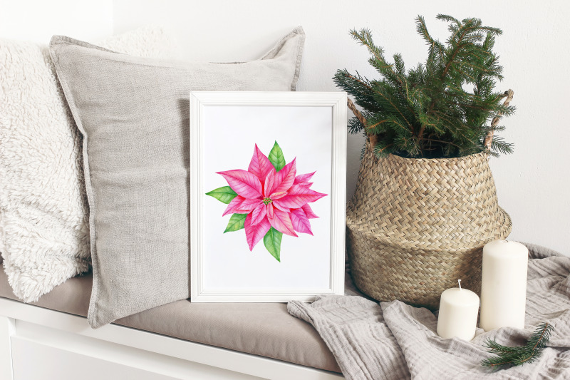 watercolor-christmas-poinsettia-clipart-winter-watercolor-png