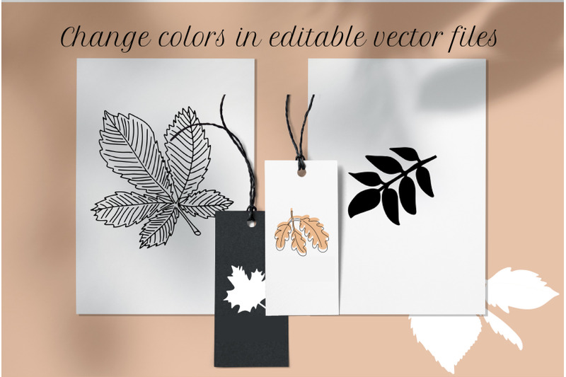 autumn-leaf-svg-real-leaves-png-wooden-vector-texture
