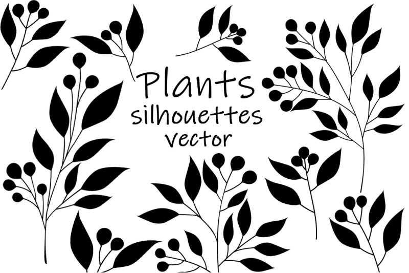 silhouettes-plants-flowers-silhouettes-leaves-silhouettes