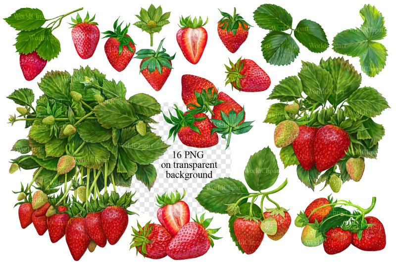 strawberry-clipart-strawberry-design-food-clipart-fruit-clipart