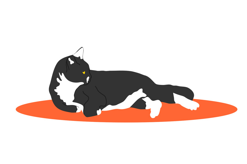 cute-white-and-black-cat-resting-in-orange-mat-pet-cartoon