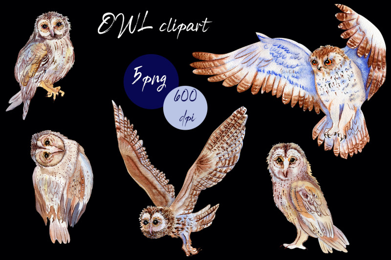 boho-owl-clipart-watercolor-woodland