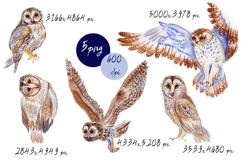 boho-owl-clipart-watercolor-woodland
