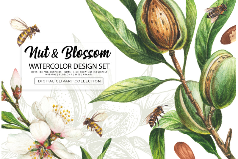 nut-amp-blossom-watercolor-design-set