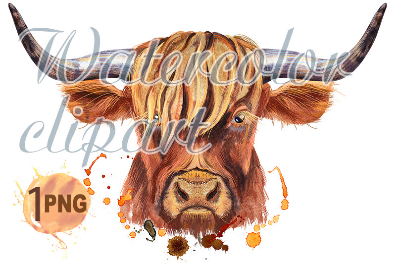 watercolor-illustration-of-a-brown-long-horned-bull