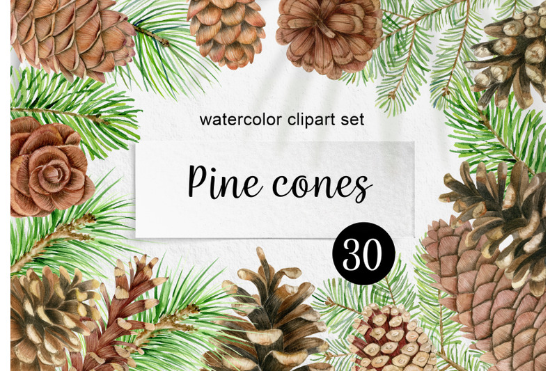 watercolor-pine-cones-and-branches-clipart-christmas-wreath-png