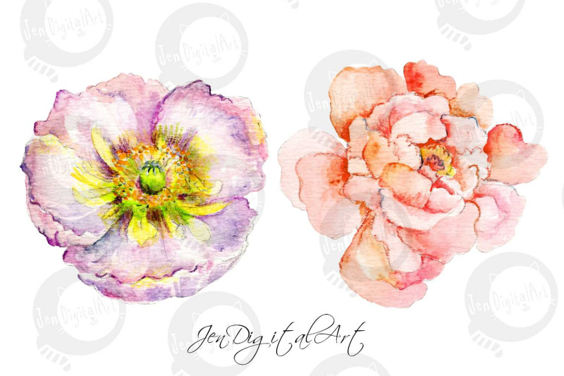 flower-princesses-watercolor-illustrations