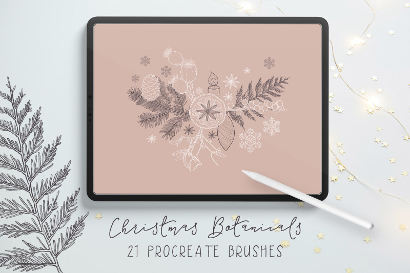 christmas-procreate-brushes-winter-botanicals