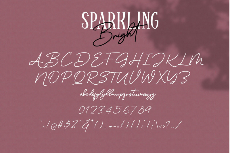 sparkling-bright-beauty-font-duo