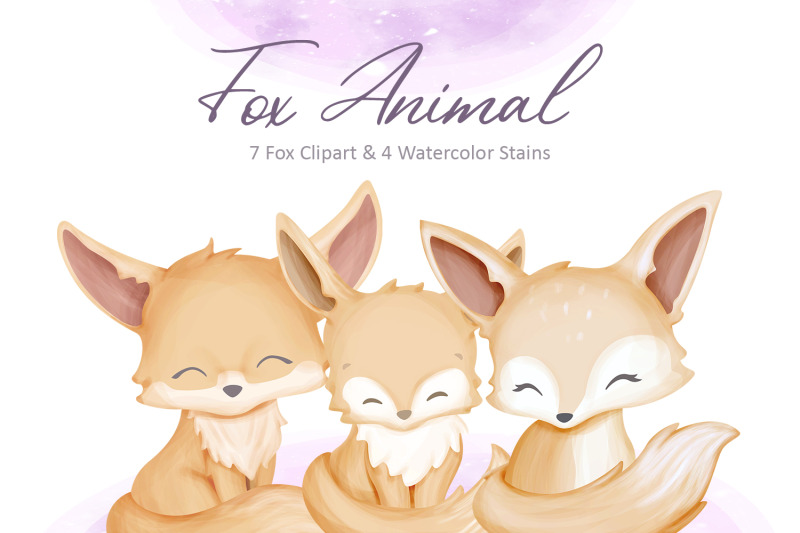 fox-animal-collection