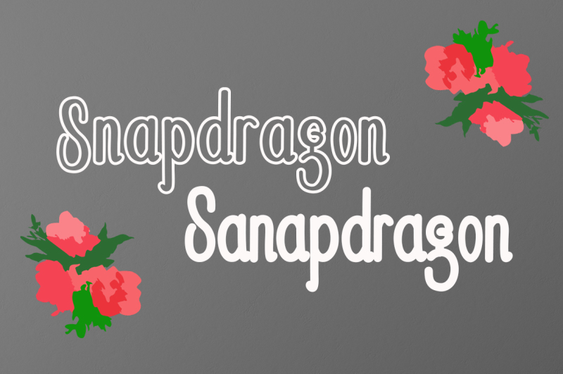 snapdragon-font-duo