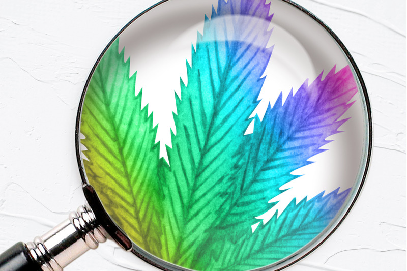 rainbow-cannabis-frames