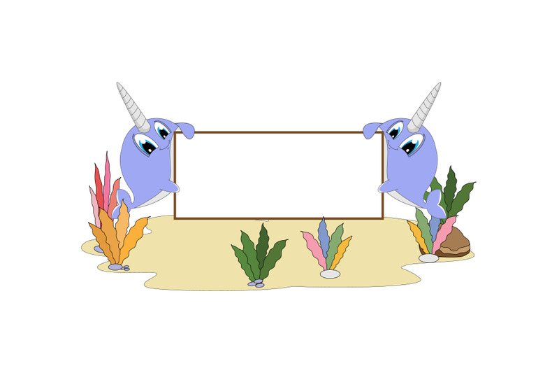 narwhal-with-white-board