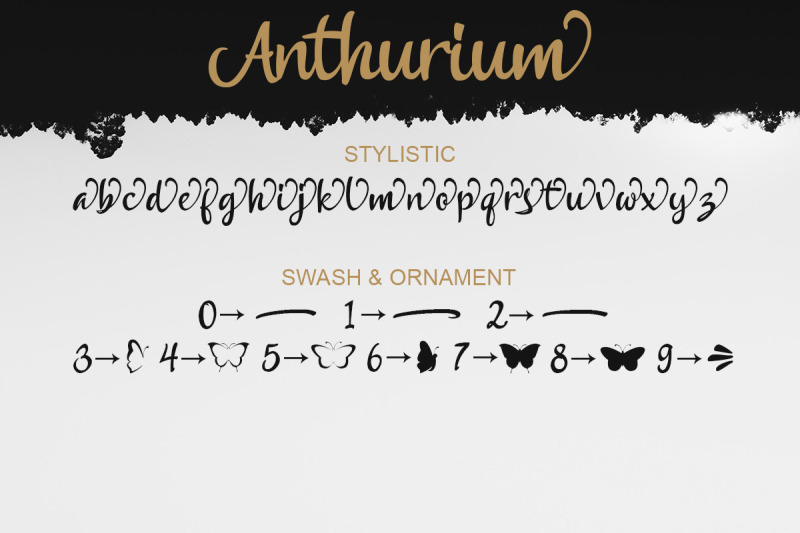 anthurium-handwritten-font