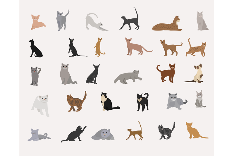 cat-clip-art-set-hand-drawn-cat-breeds-digital-png-vector-cute-animals