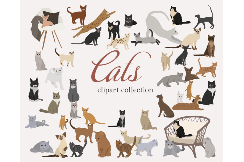 cat-clip-art-set-hand-drawn-cat-breeds-digital-png-vector-cute-animals