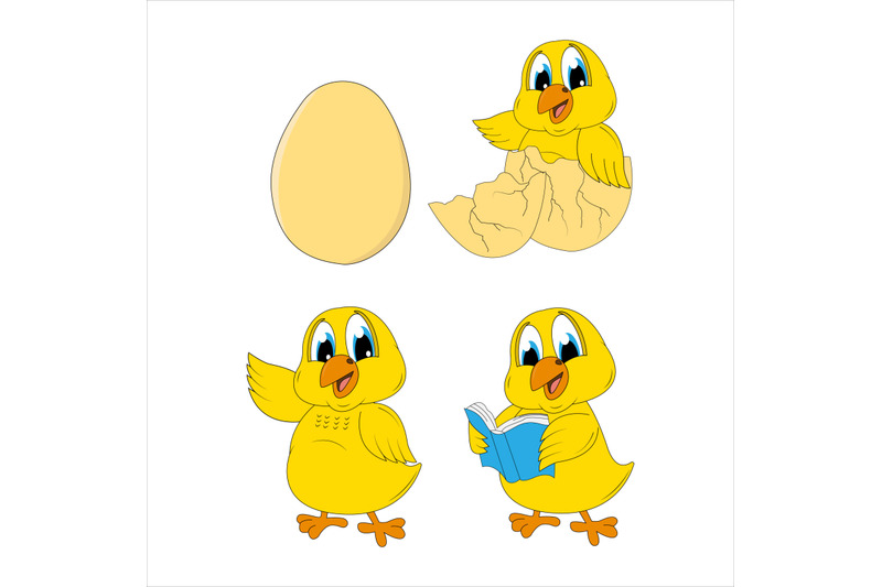 chick-animal-cartoon