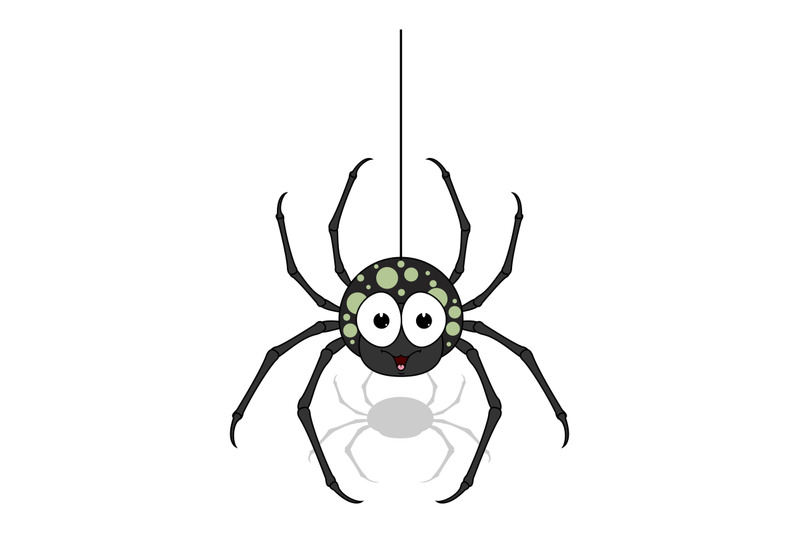 spider-animal-cartoon